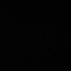 Meet your Posher, Joey